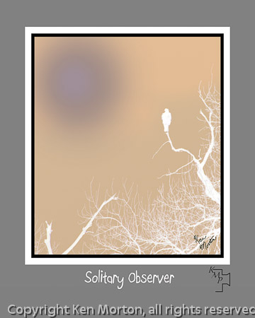 Solitary Observer