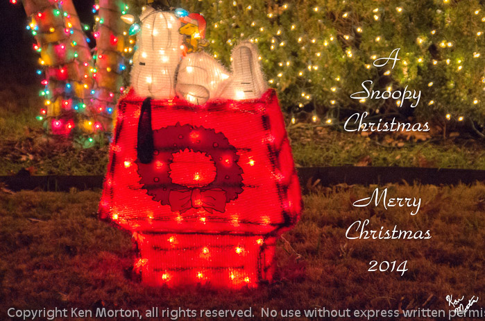 A Snoopy Christmas