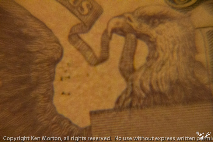 Eagle From A Five Spot