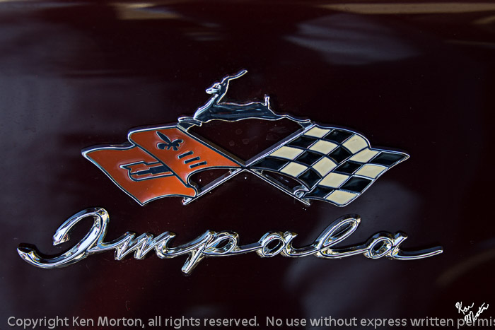 Impala Insignia