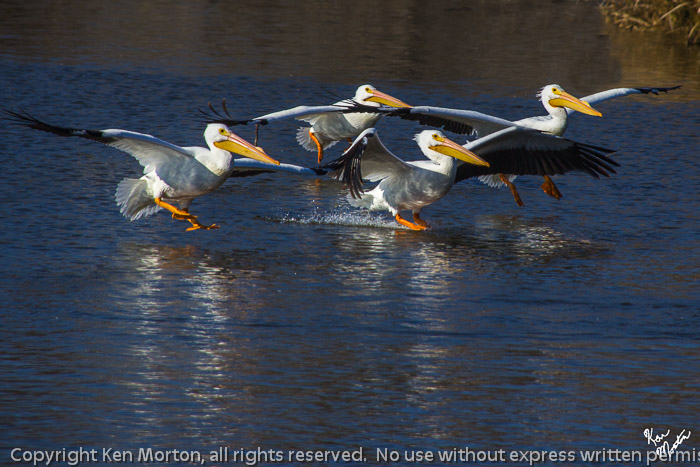 Precision Landing