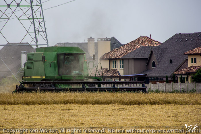 Suburban Farming