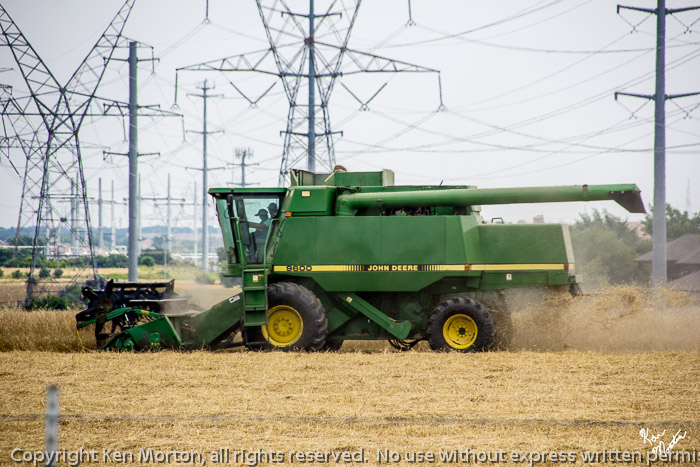 Suburban Farming 2