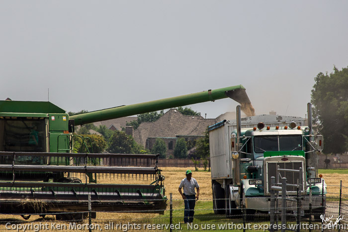 Suburban Farming 3