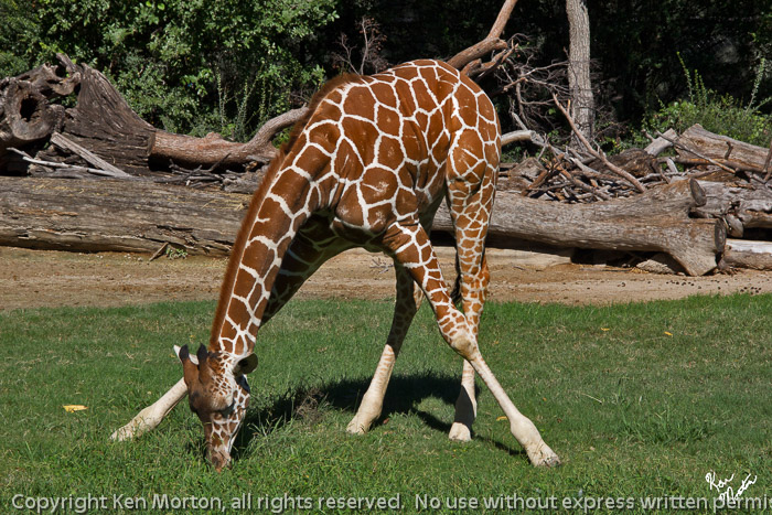 And Stretch