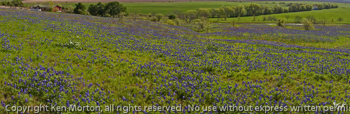 Blue And Green Hillside Panorama