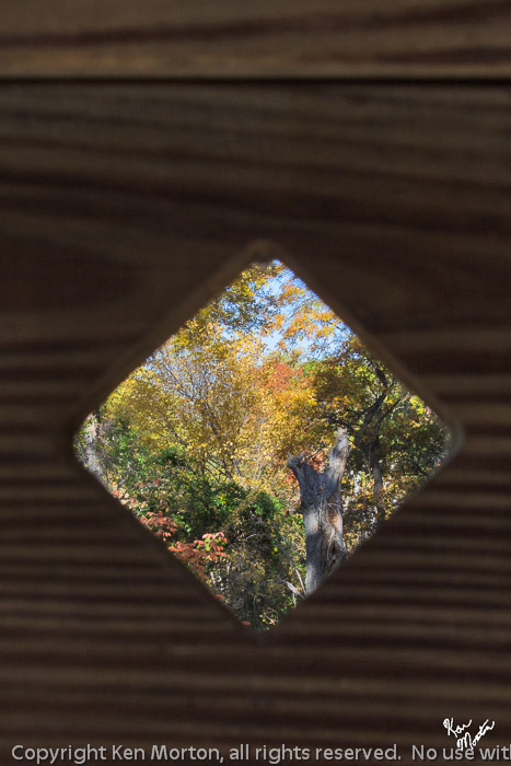 Diamond View