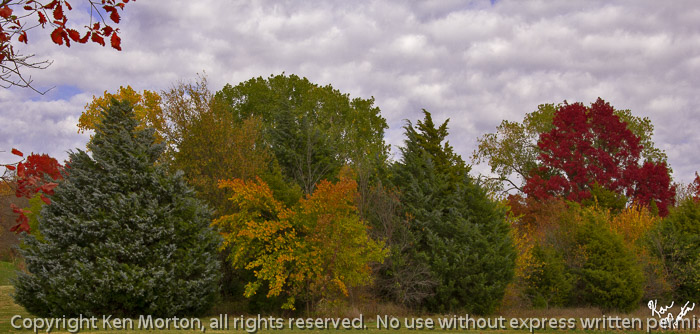 Fall Color in Breckinridge Park