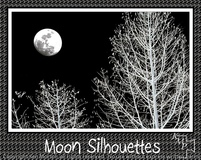 Moon Silhouettes