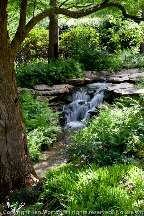 Water Fall at Arboretum
